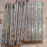 سه گوش بدنه نقره ای گربه شاخدار۴۸